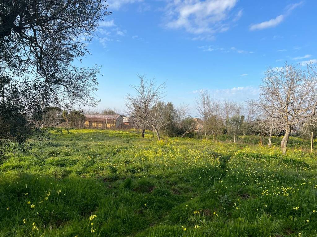 Terreno a Vibo valentia in Via Roma - Foto 4