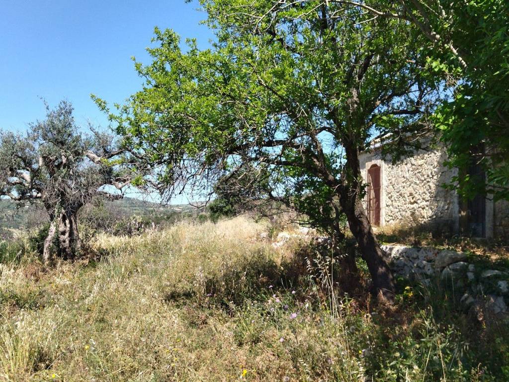 Terreno a Buscemi in SR9 - Foto 3