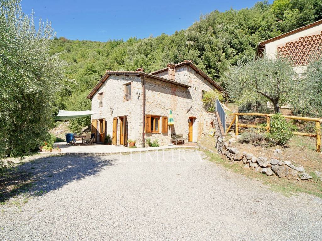 Rustico / casale a Borgo a mozzano in Località Castello - Foto 3