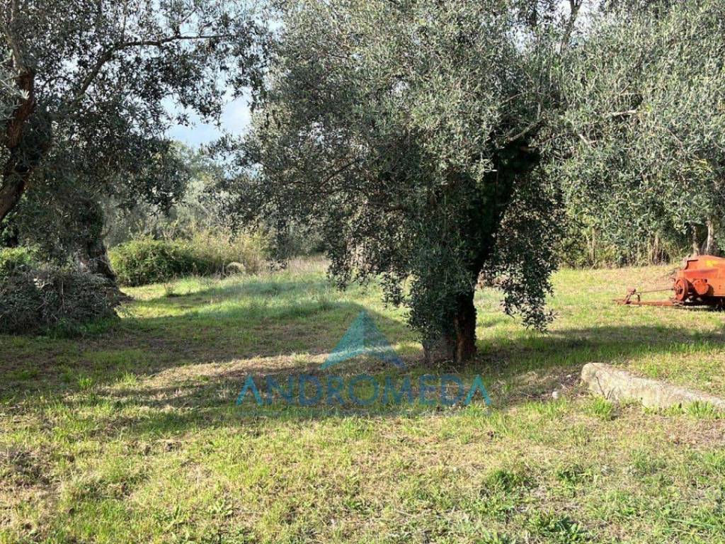 Appartamento a Venafro in Corso Campano - Foto 4