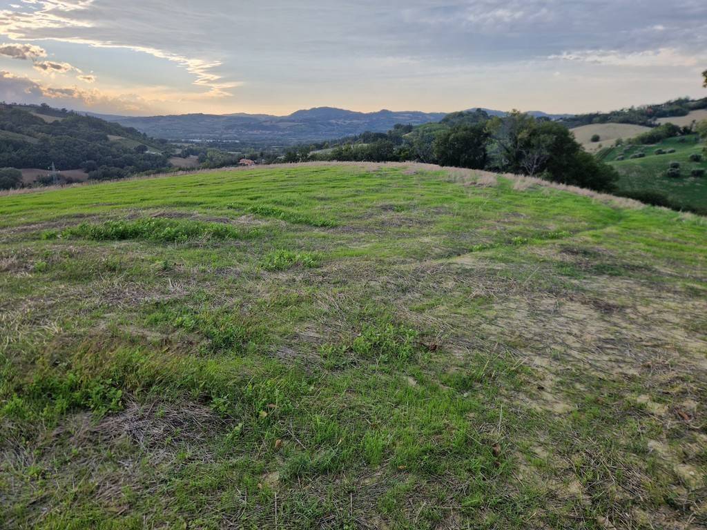 Rustico / casale a Mondavio in Contrada Cavallara - Foto 3
