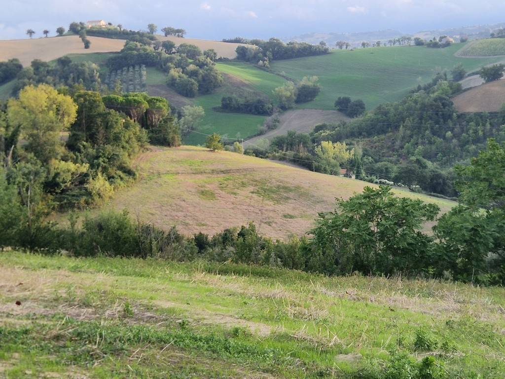Rustico / casale a Mondavio in Contrada Cavallara - Foto 4