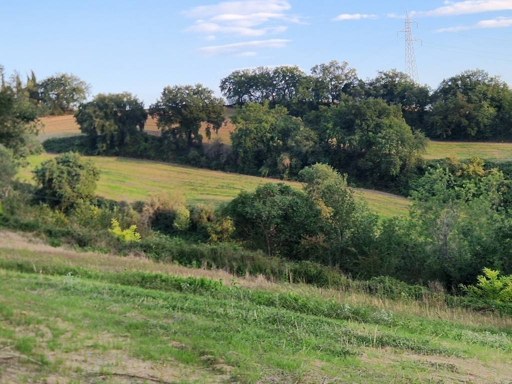 Rustico / casale a Mondavio in Contrada Cavallara - Foto 5