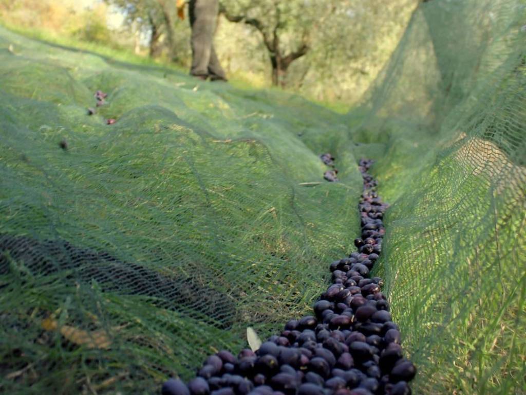 Villa a Monteleone sabino in Via Casali Macchie - Foto 5