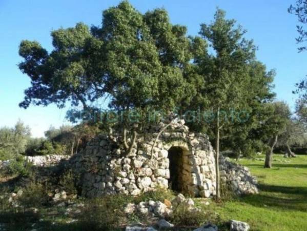 Terreno a Morciano di leuca - Foto 2