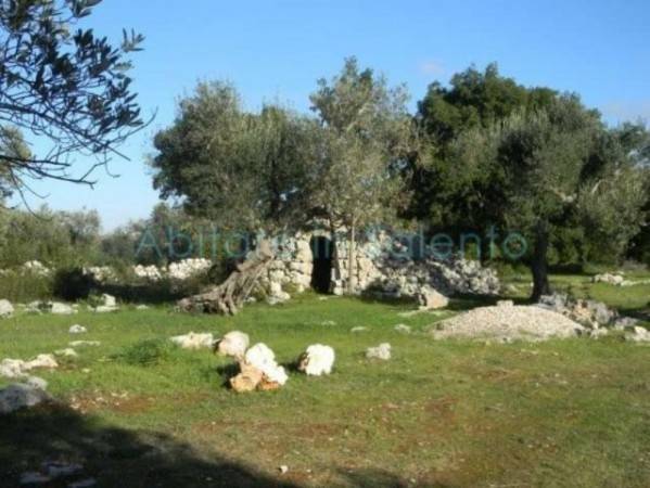 Terreno a Morciano di leuca - Foto 3