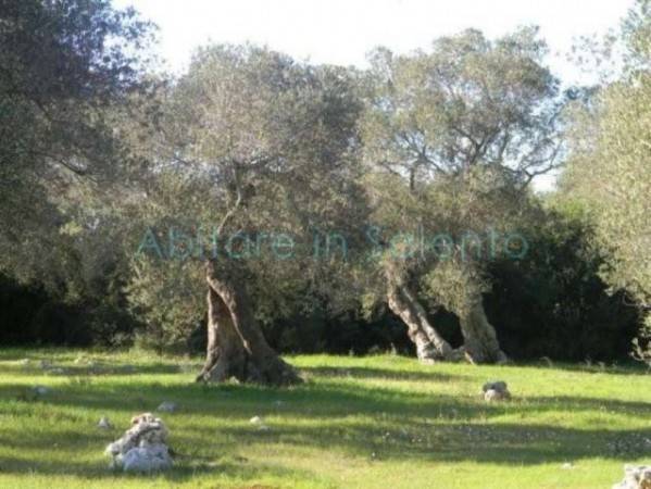 Terreno a Morciano di leuca - Foto 4