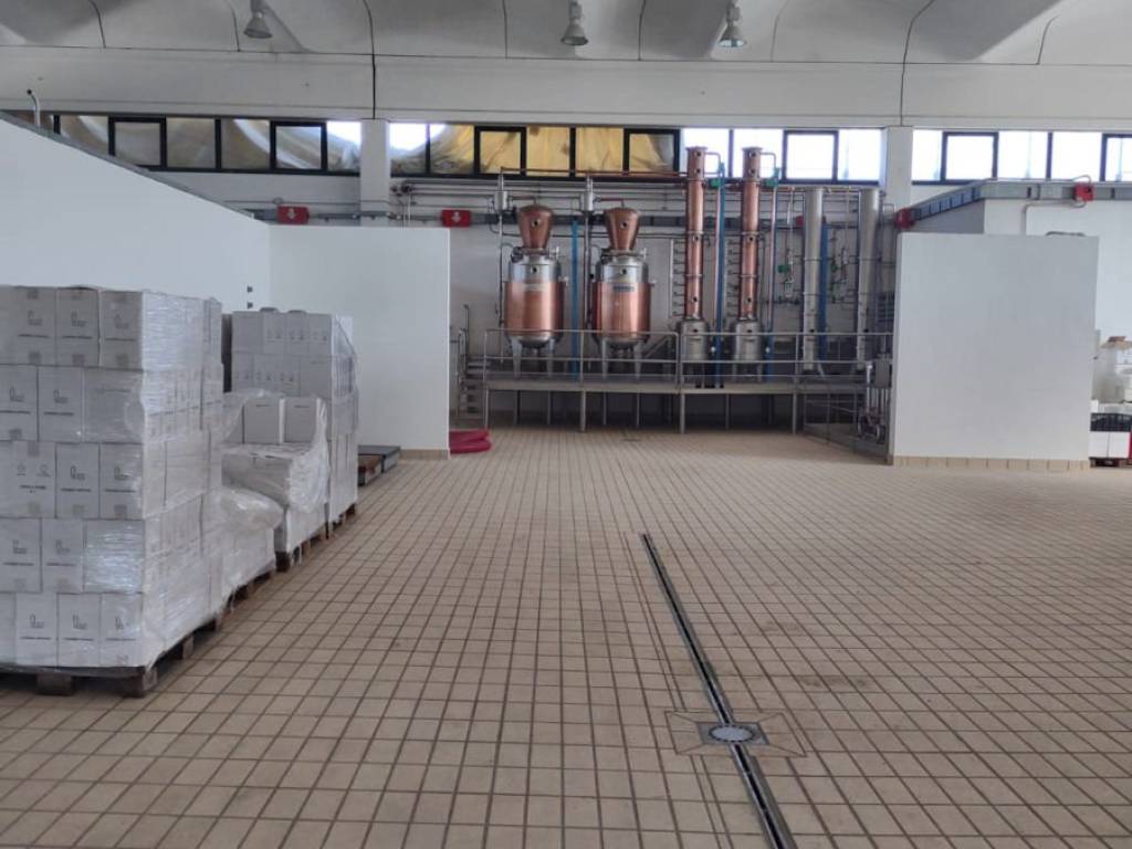 Immobile a Cicerale in Via Giovanni Siano - Foto 3