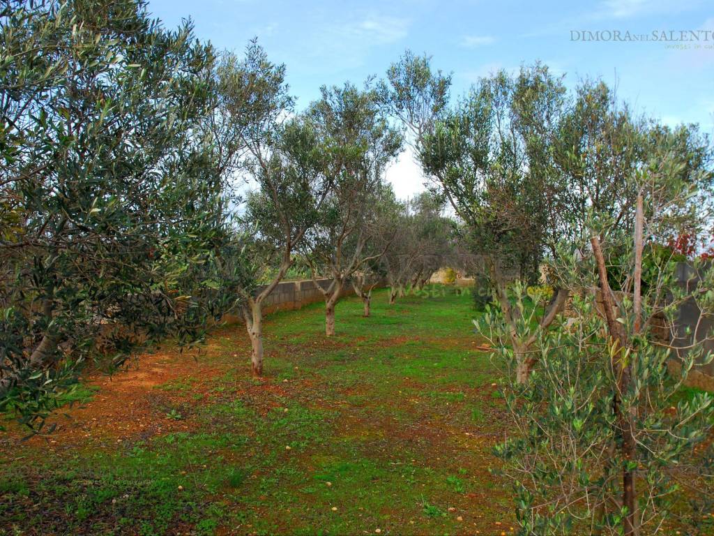 Terreno a Castrignano del capo in Via Lecce - Foto 3