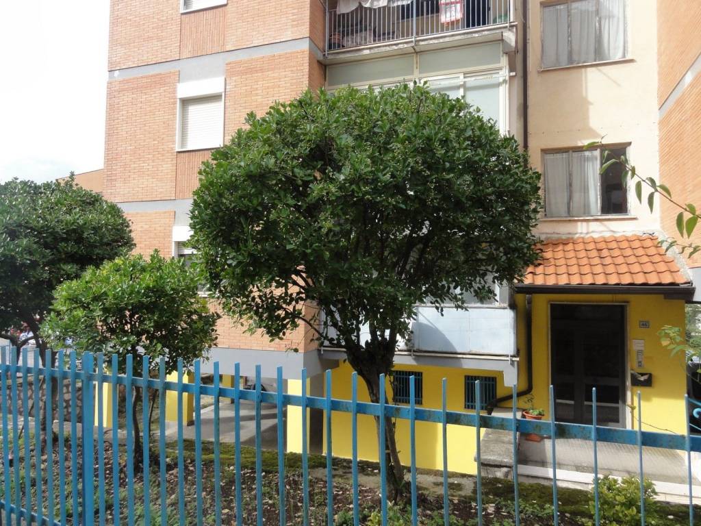 Appartamento a Ceccano in Via del Boschetto - Foto 5