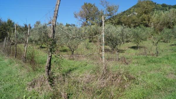 Rustico / casale a Caiazzo in SS158 - Foto 5