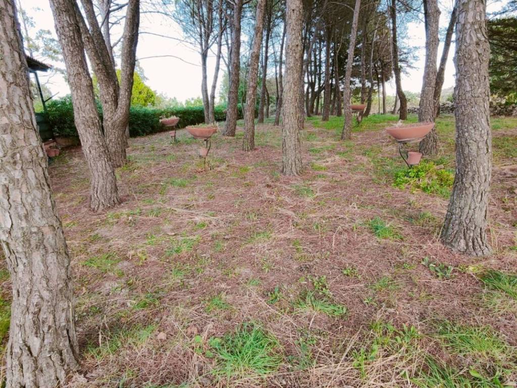 Villa a Noto in Strada Provinciale 24 - Foto 3