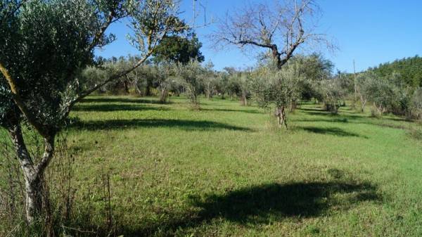 Rustico / casale a Ruviano in Via Coste - Foto 2