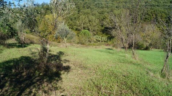 Rustico / casale a Ruviano in Via Coste - Foto 4