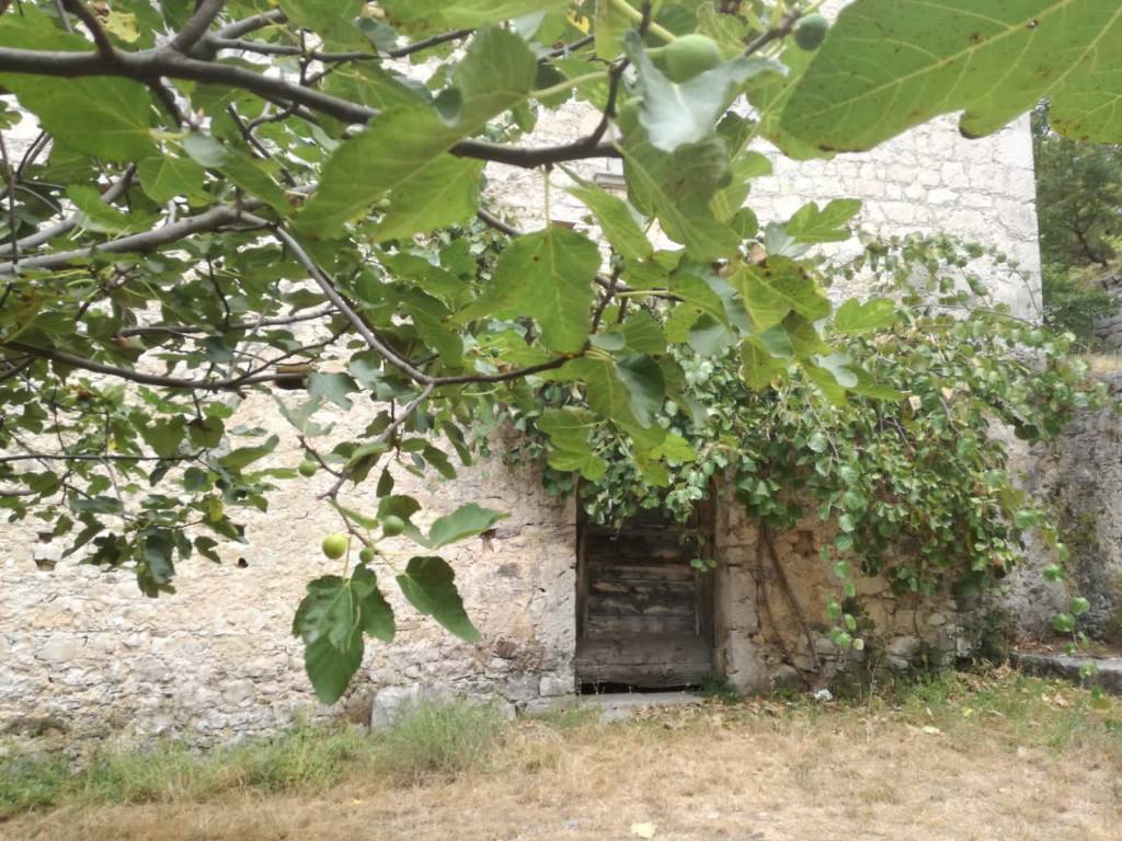 Rustico / casale a Carpinone in Strada Provinciale Aquilonia, 95 - Foto 3