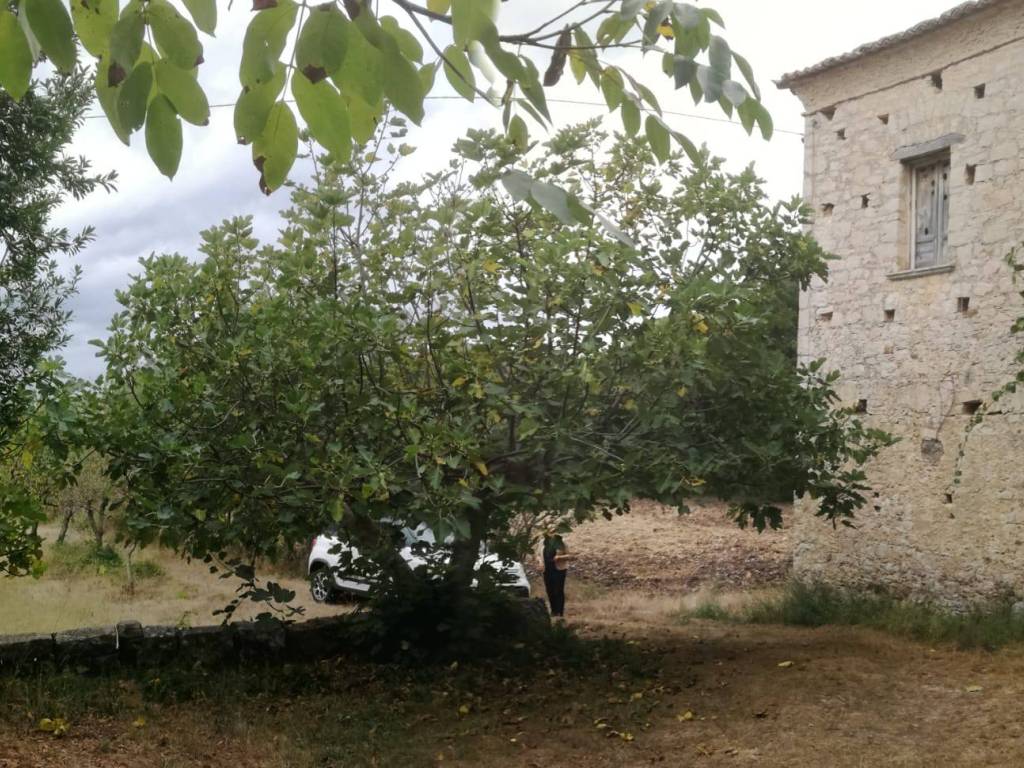 Rustico / casale a Carpinone in Strada Provinciale Aquilonia, 95 - Foto 5