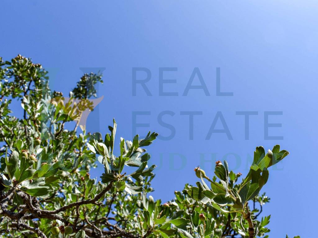 Villa a Avola in Via Roma, 1 - Foto 4