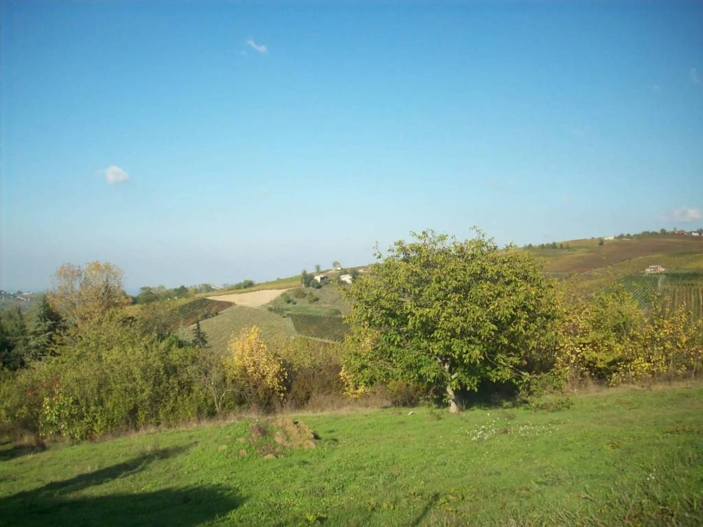 Terreno a Ziano piacentino in Località Casa Mascandola - Foto 2