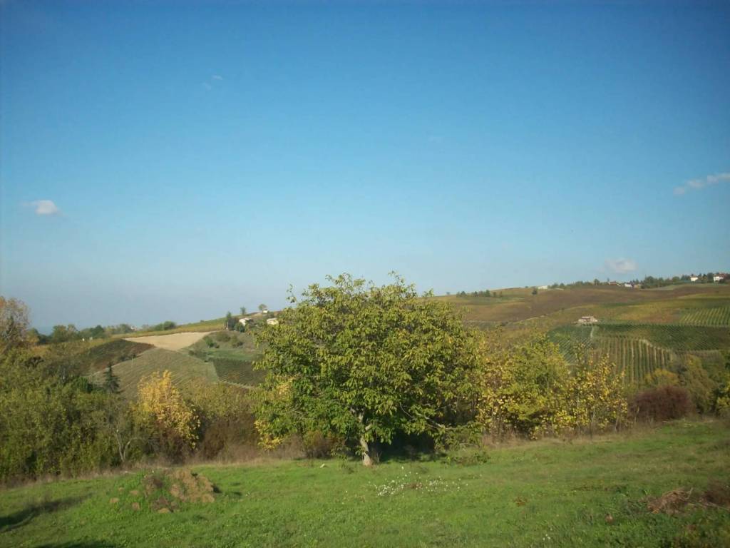 Terreno a Ziano piacentino in Località Casa Mascandola - Foto 5