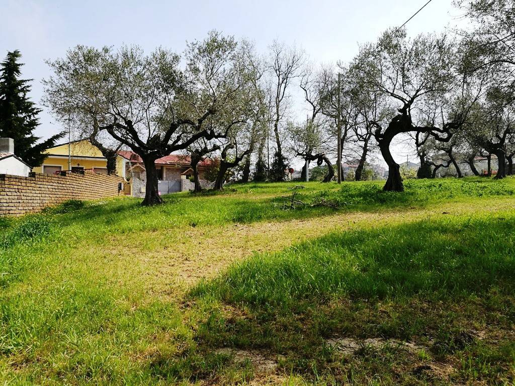 Terreno a Pianella in Contrada Collecchio - Foto 5