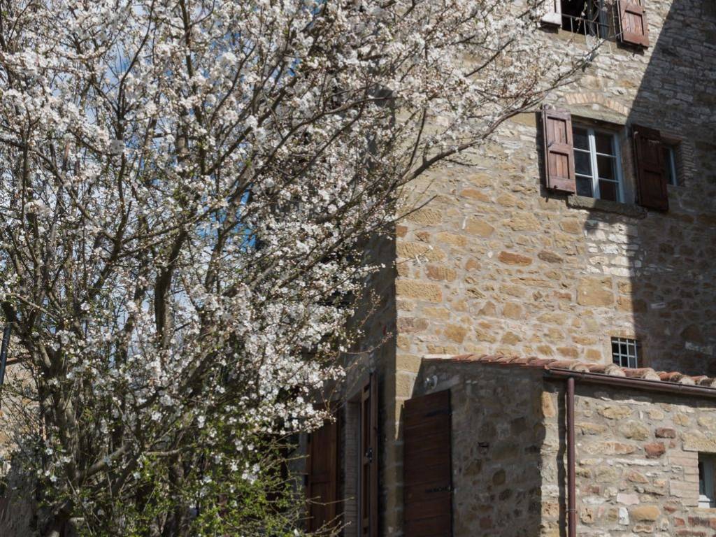 Casa indipendente a Umbertide in Strada Statale del Niccone - Foto 4