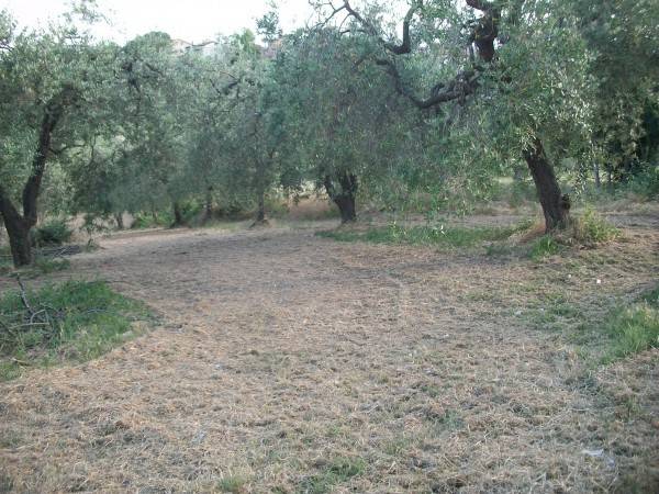 Terreno a Lanciano in Contrada Villa Andreoli - Foto 3