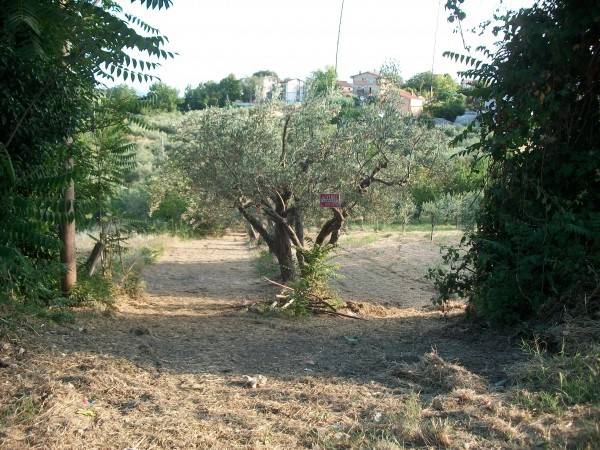 Terreno a Lanciano in Contrada Villa Andreoli - Foto 4