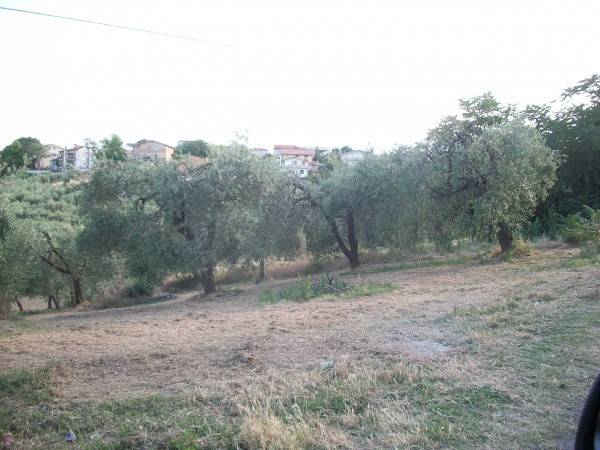 Terreno a Lanciano in Contrada Villa Andreoli - Foto 5