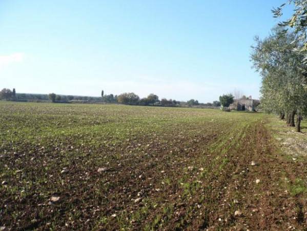 Terreno a Gradara in Via Pievevecchia - Foto 2