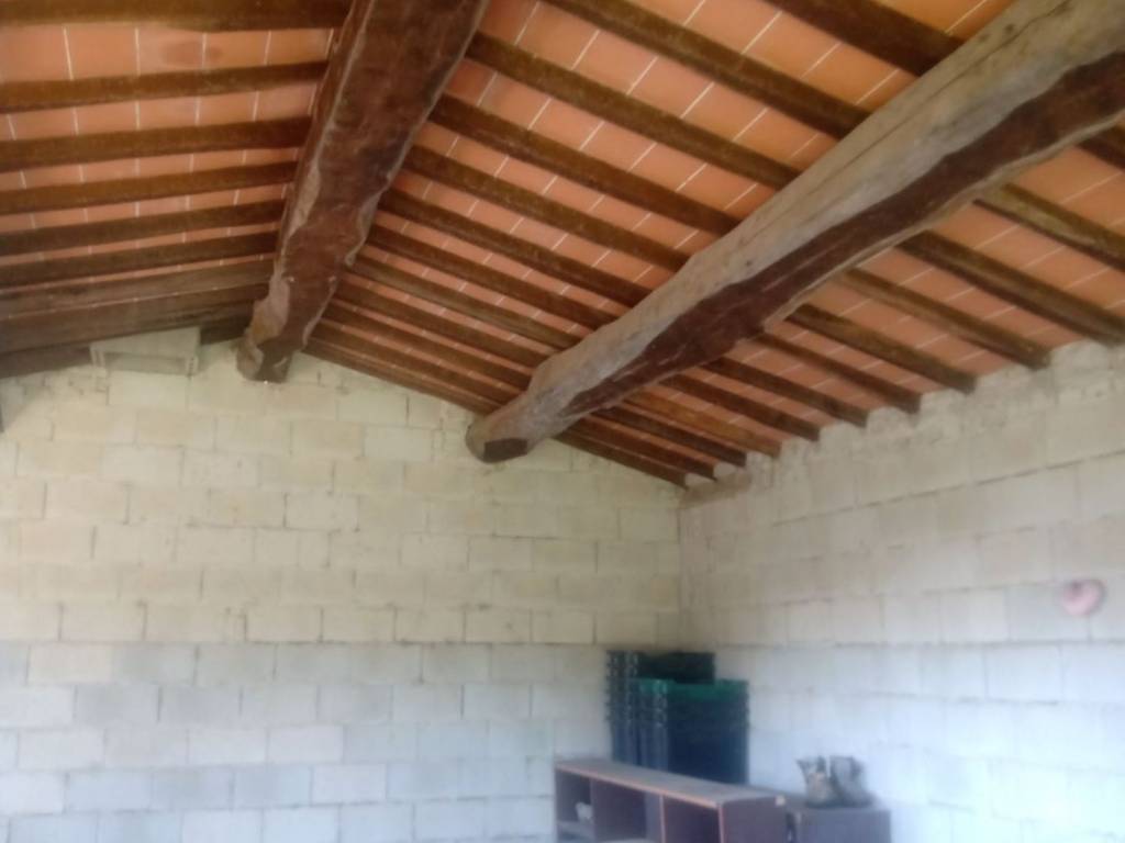 Rustico / casale a Buggiano in Via Colligiana, 5 - Foto 5