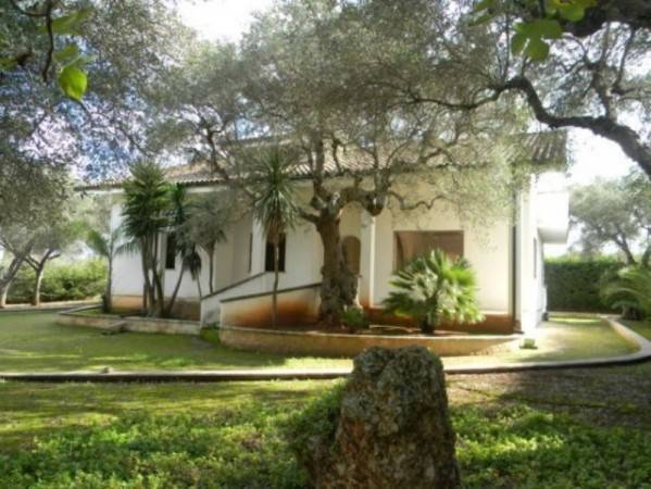 Villa a Ruffano - Foto 3