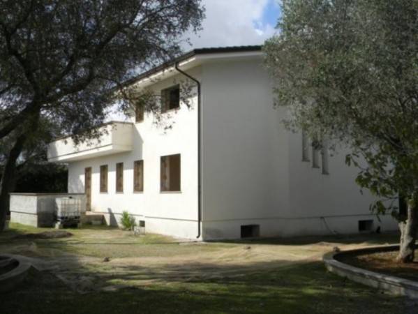 Villa a Ruffano - Foto 4