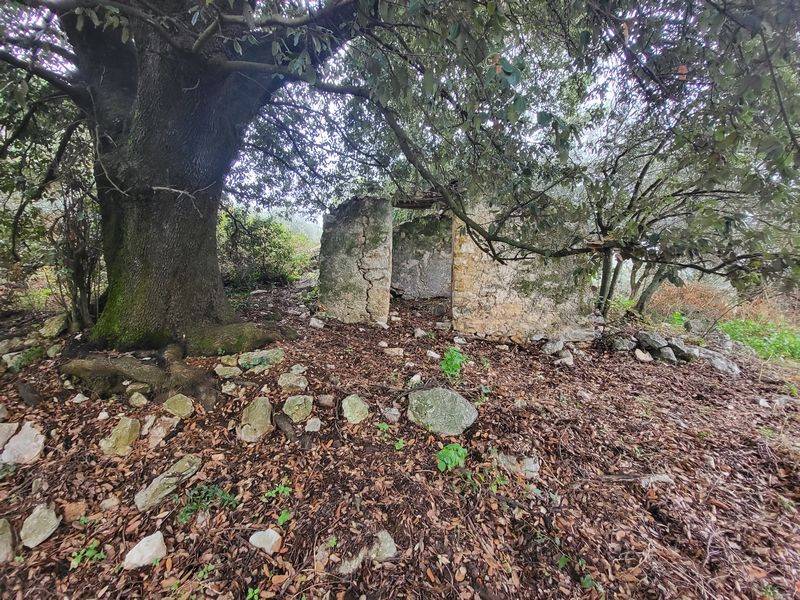 Rustico / casale a Anagni in Via Vecchia Anagni Acuto - Foto 2