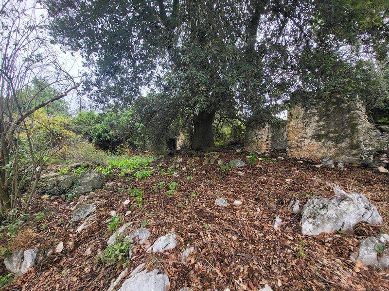 Rustico / casale a Anagni in Via Vecchia Anagni Acuto - Foto 4