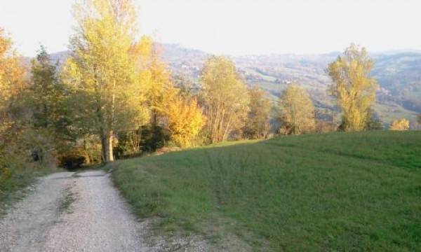Rustico / casale a Monzuno - Foto 5