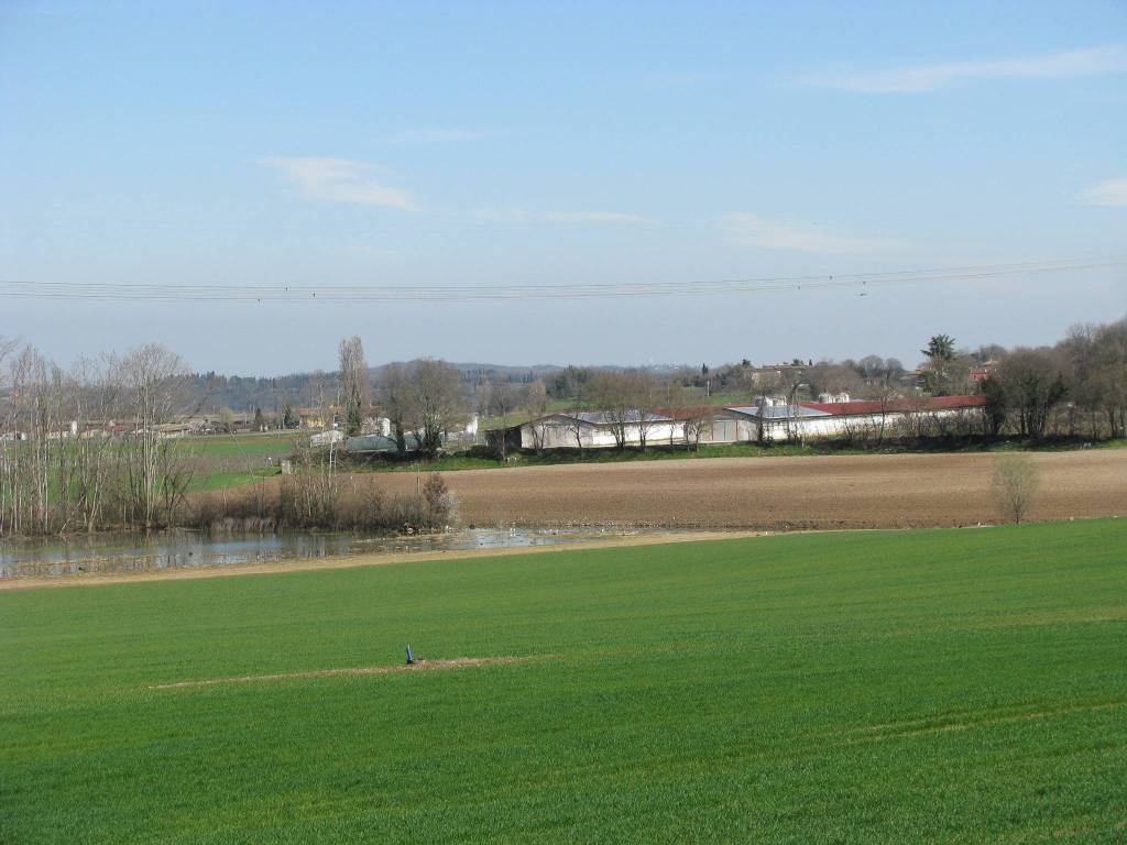 Rustico / casale a Volta mantovana - Foto 5