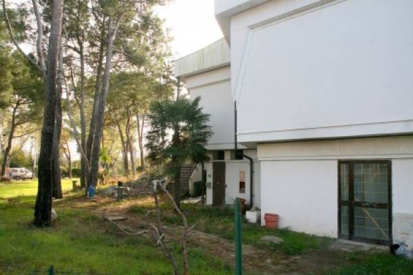 Immobile a Grado in Strada Provinciale 19 - Foto 5