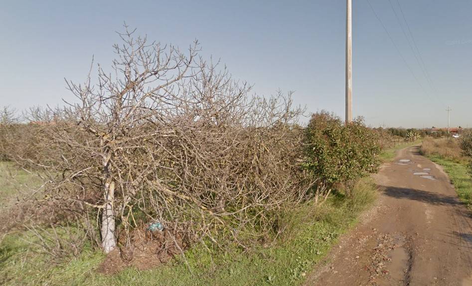 Terreno a Assemini in Località Sa Cannada - Foto 2