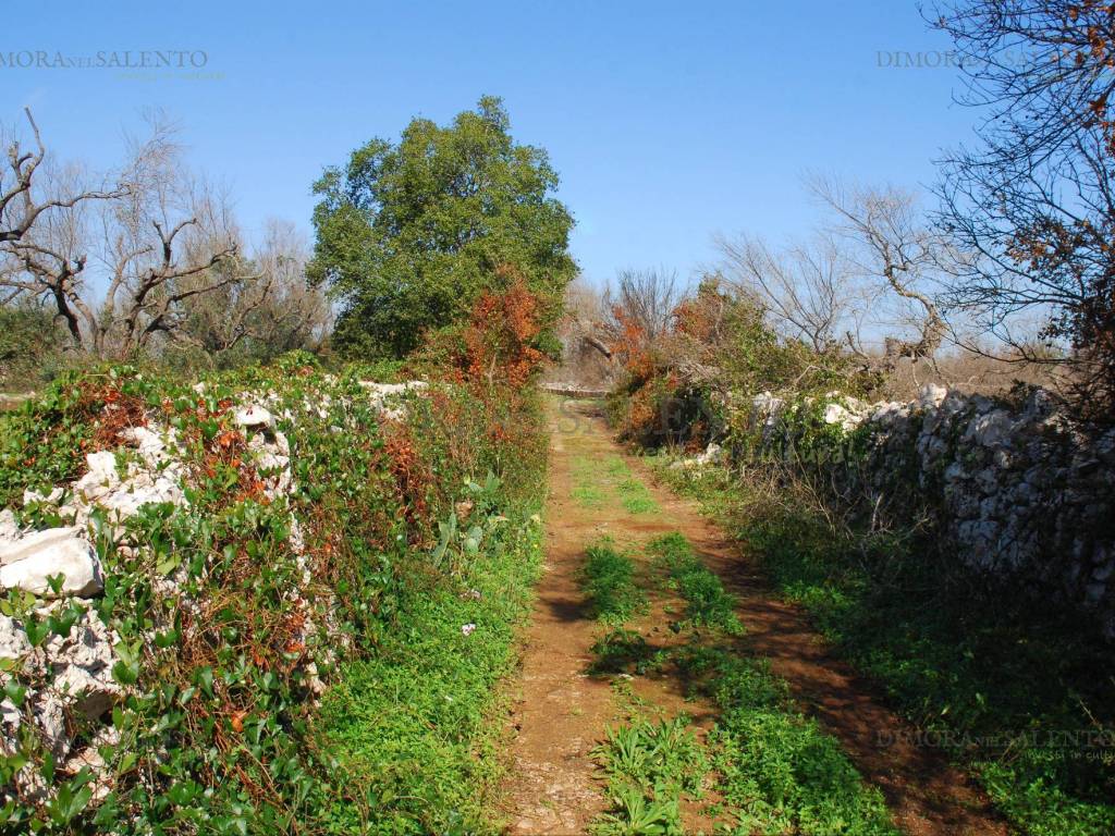 Terreno a Presicce-acquarica in Strada Vicinale Cupe II - Foto 2