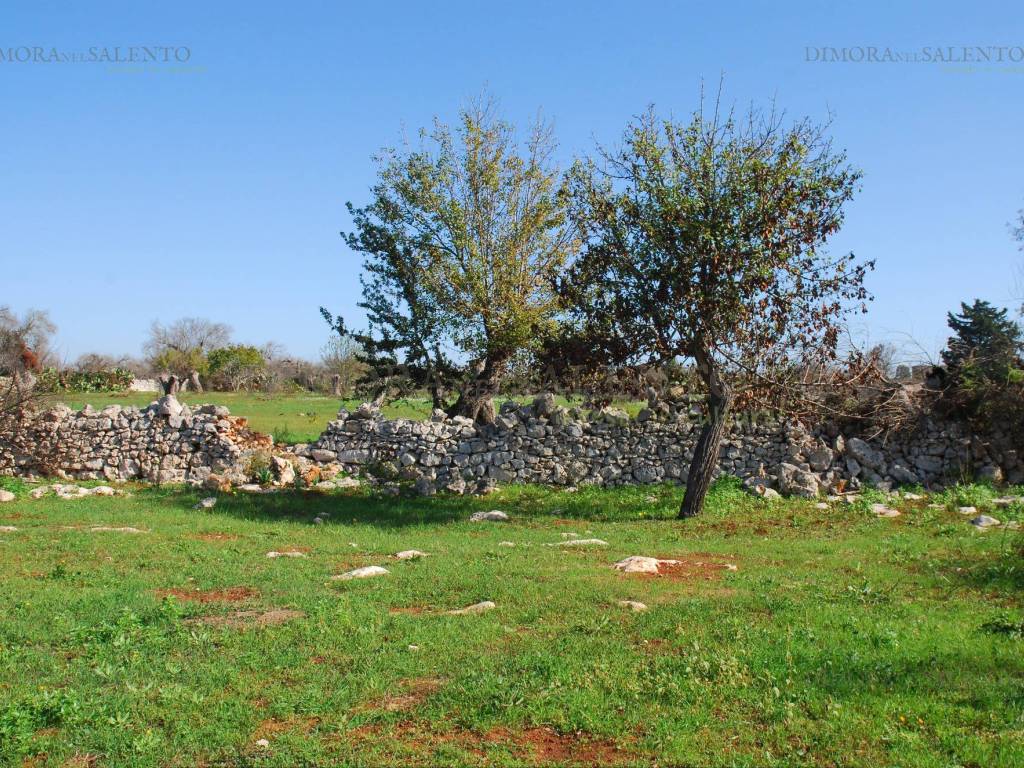 Terreno a Presicce-acquarica in Strada Vicinale Cupe II - Foto 4