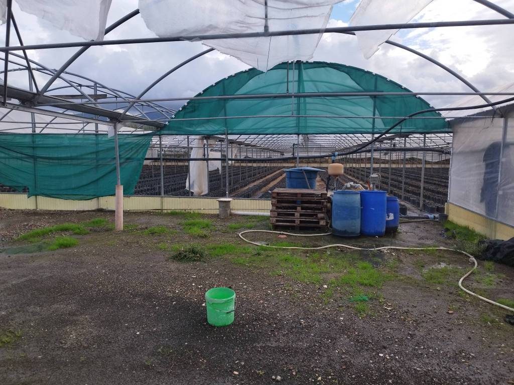 Terreno a Scafati - Foto 2