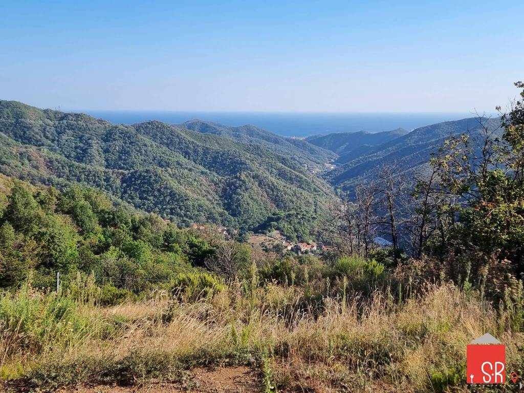 Terreno a Stella in Strada Provinciale di Pontinvrea - Foto 2