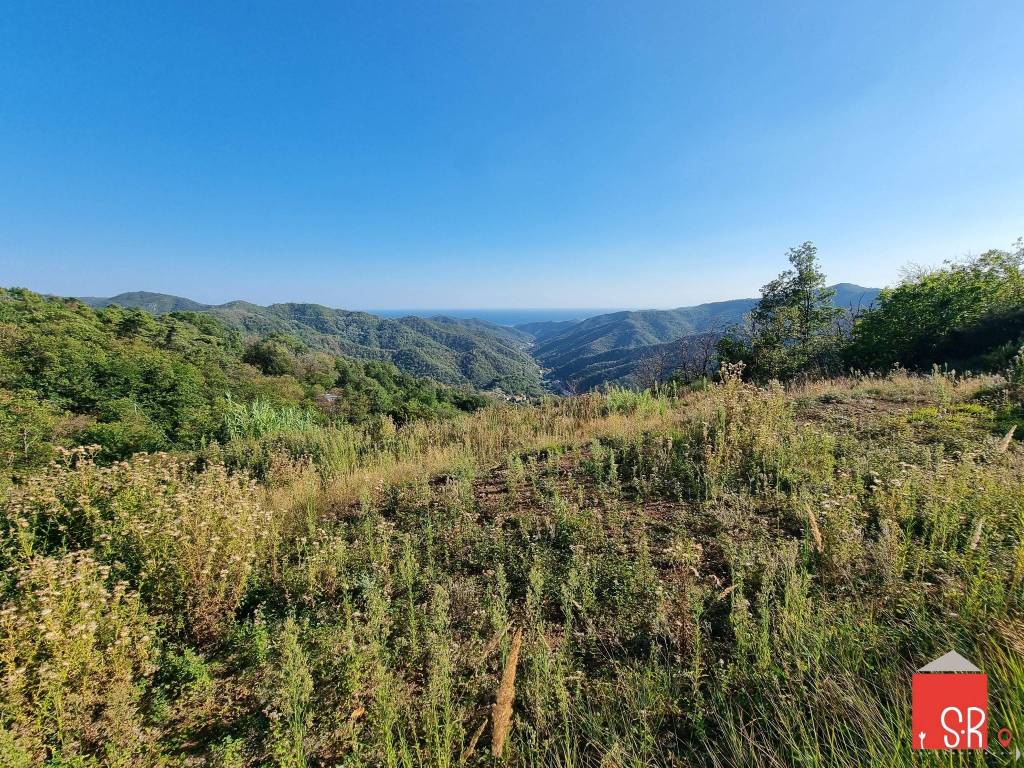Terreno a Stella in Strada Provinciale di Pontinvrea - Foto 3