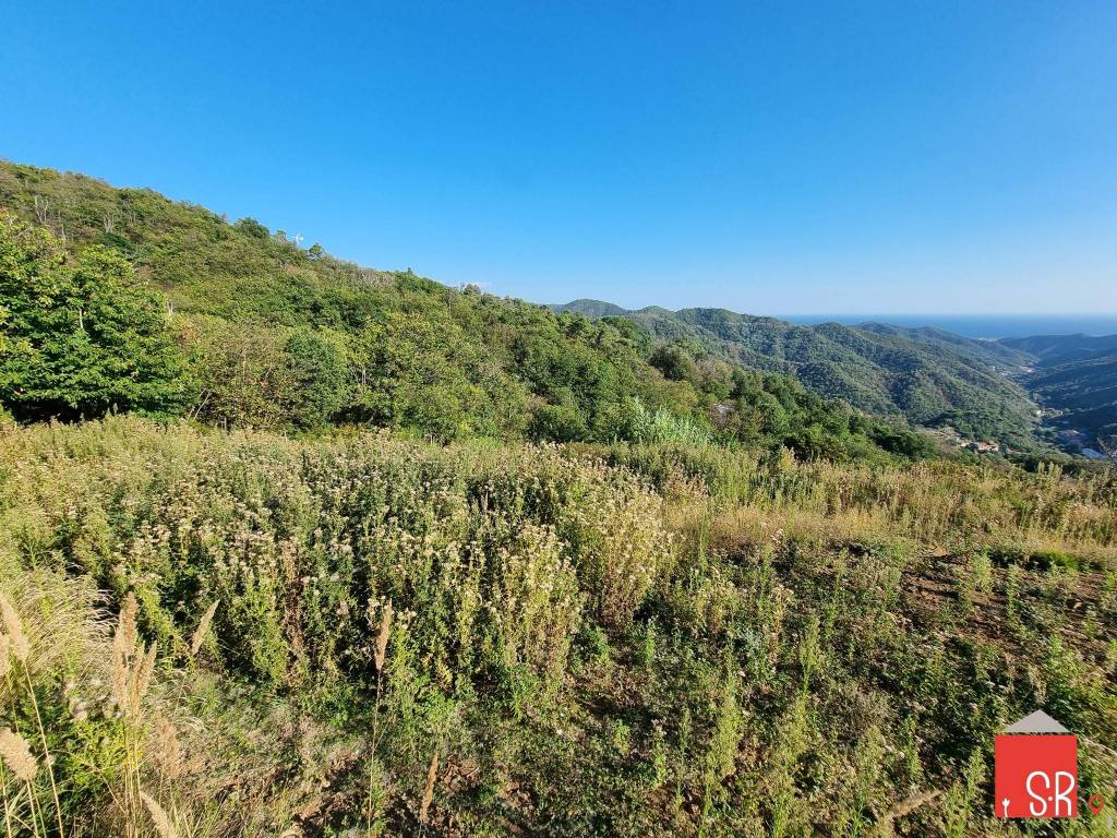 Terreno a Stella in Strada Provinciale di Pontinvrea - Foto 4