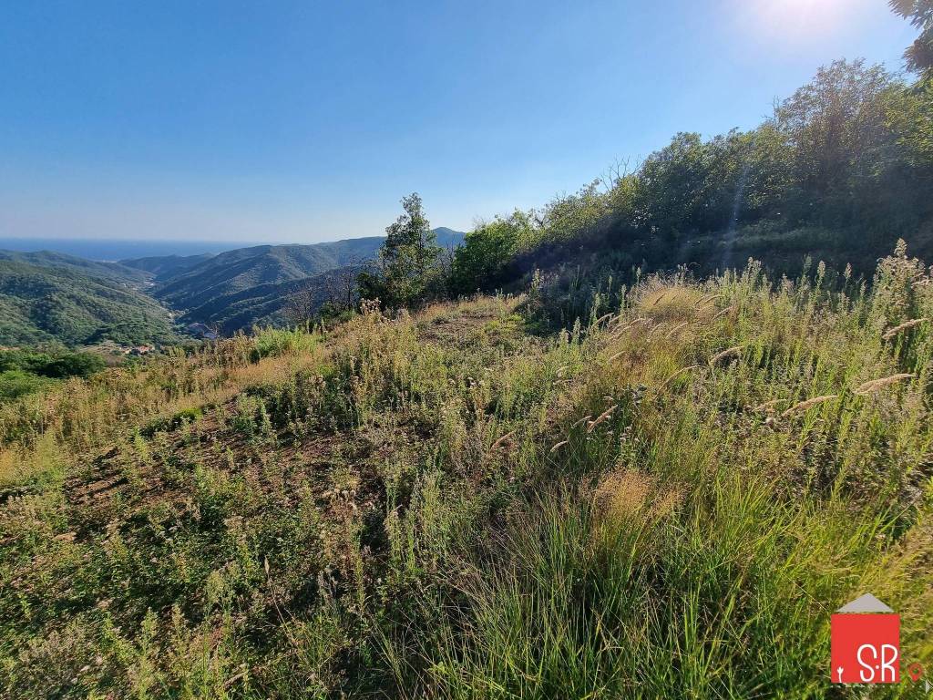 Terreno a Stella in Strada Provinciale di Pontinvrea - Foto 5