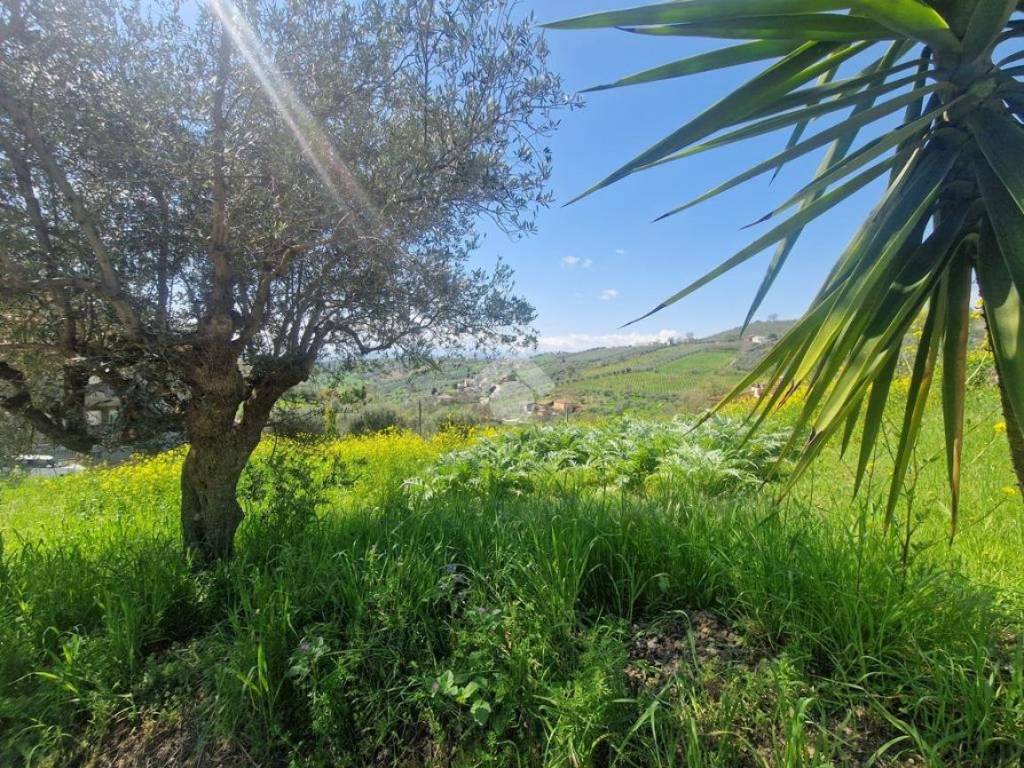 Terreno a Notaresco in Via Gramsci, 9 - Foto 2