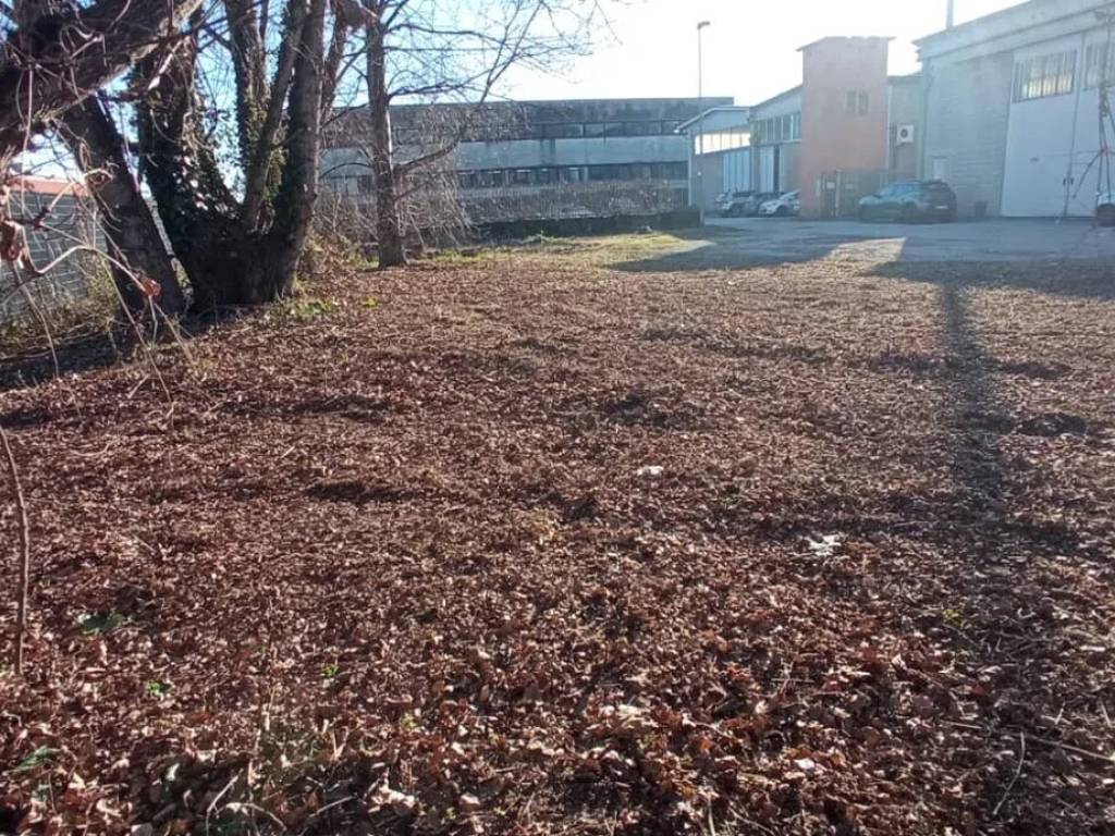 Terreno a Pescia in Sp50, 150 - Foto 3