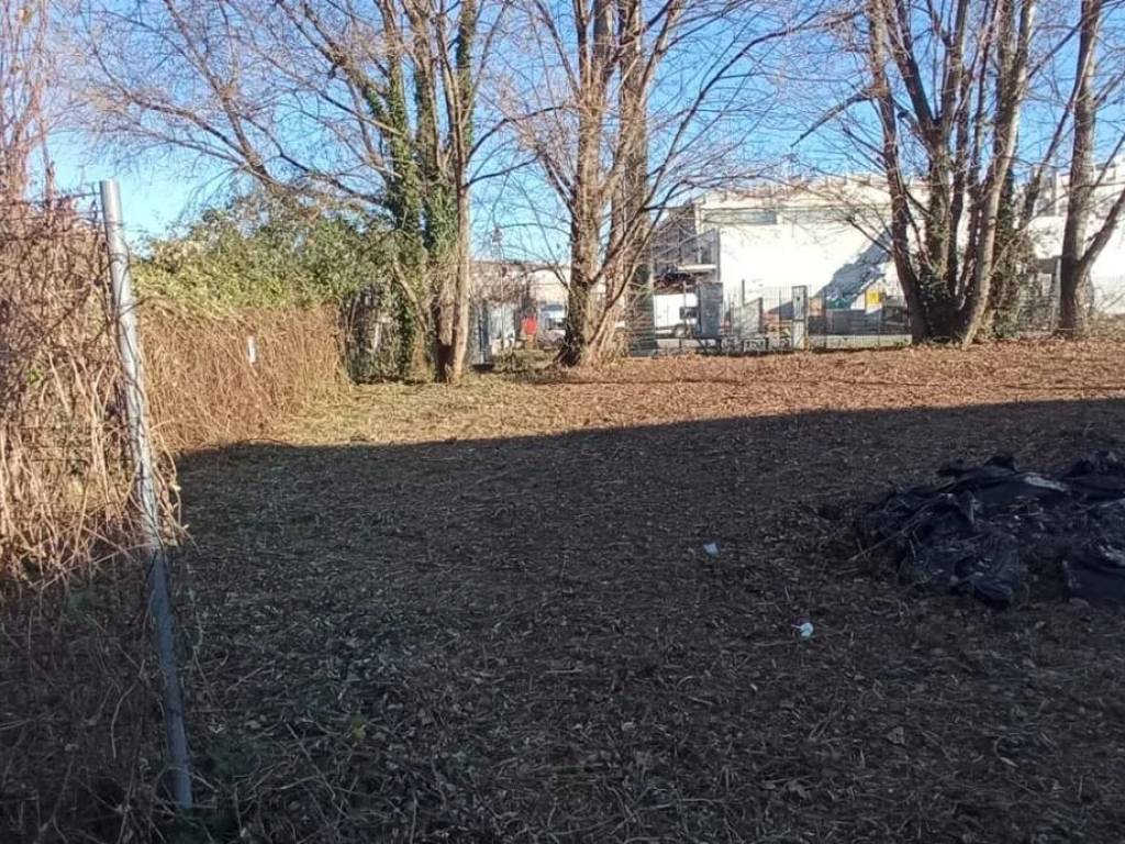 Terreno a Pescia in Sp50, 150 - Foto 4