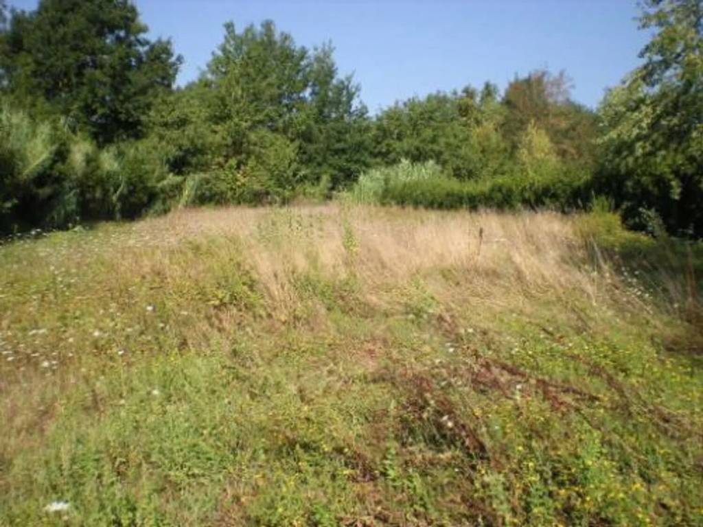 Terreno a Buggiano - Foto 2