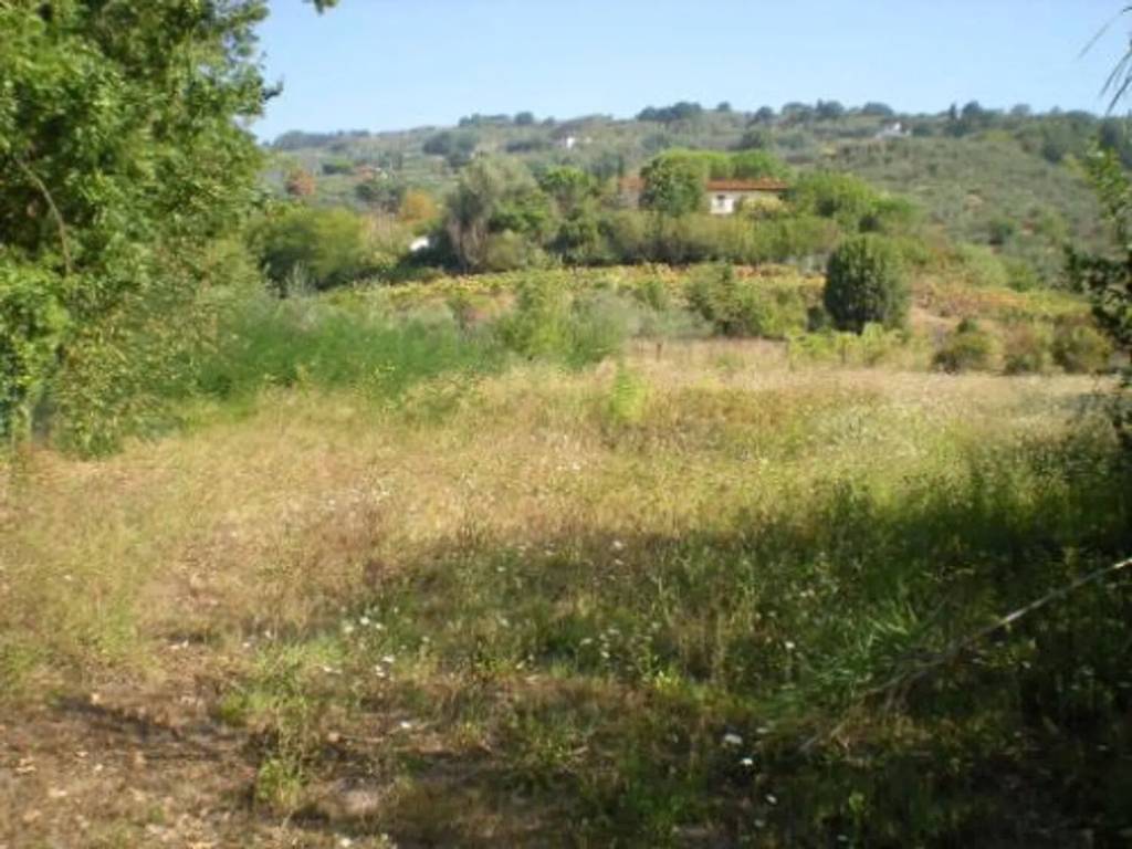 Terreno a Buggiano - Foto 3